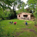 Met de hond op vakantie op de Veluwe in bungalow de Nachtegaal