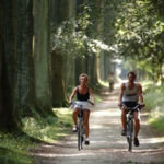 Fietsen op de Veluwe