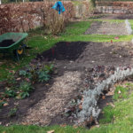 Bloembedden van de bloementuin op De Roek vakantiebungalows