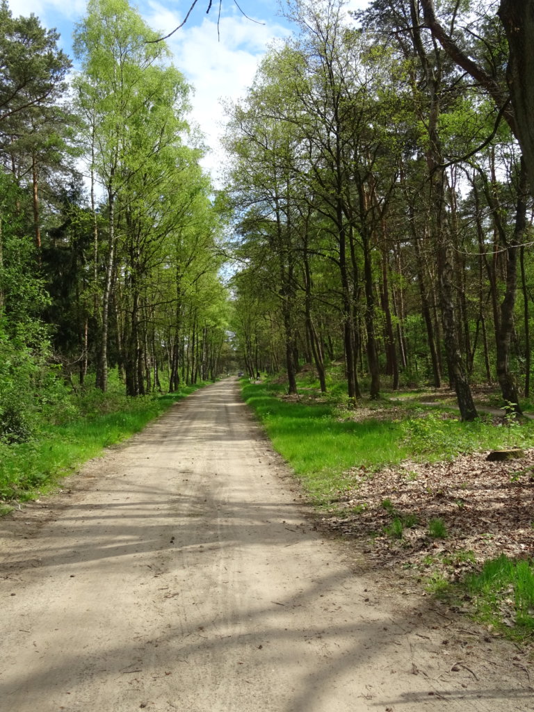 Trekvogelpad langs De Roek vakantiebungalows in Otterlo op de Veluwe