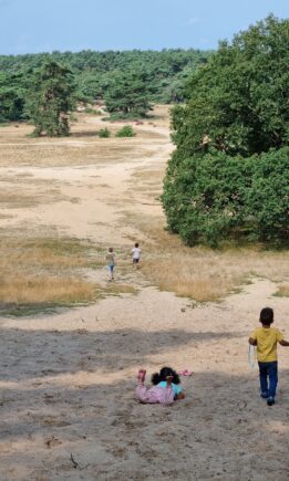 Nationaal Park de Hoge Veluwe