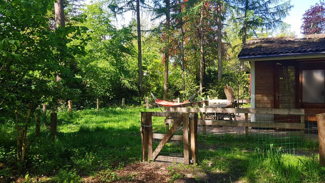 Achtertuin van een bungalow op De Roek in Otterlo