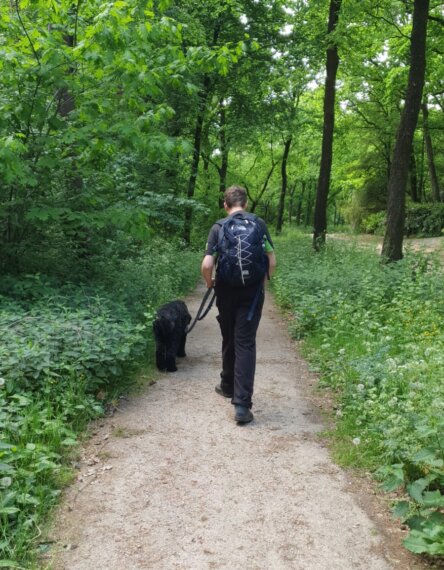 Met uw hond op vakantie? Hondenuitlaat service