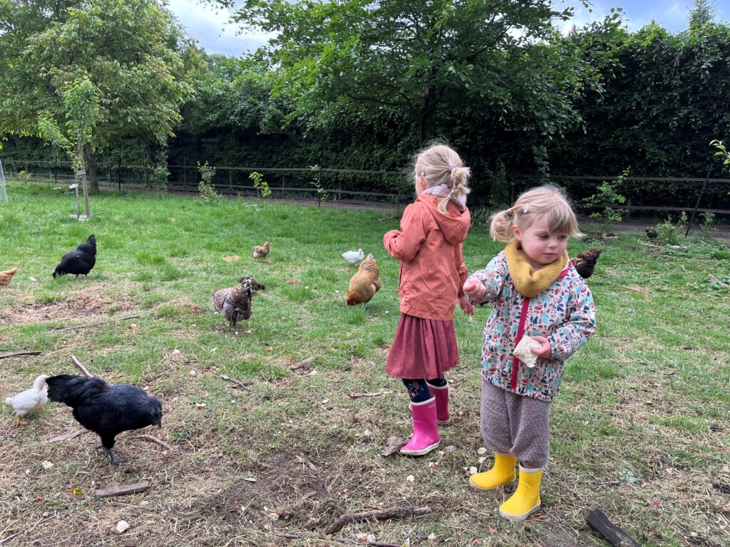 Dieren voeren bij de kinderboerderij op De Roek