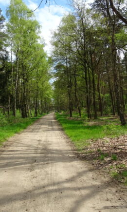 De Roek routes
