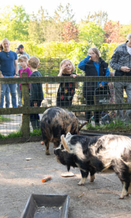 Zorgboerderij