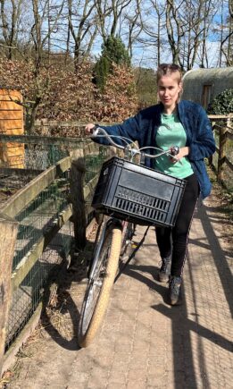 Fietsen huren op de Veluwe